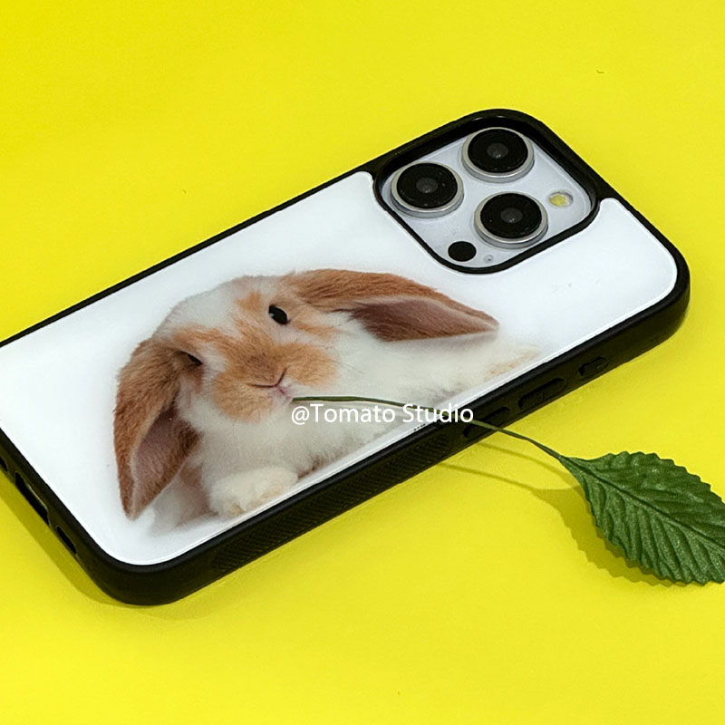 เคสโทรศัพท์ลายภาพสัตว์เฉพาะกลุ - Photography With Iphone 15 บทวิจารณ์และราคา